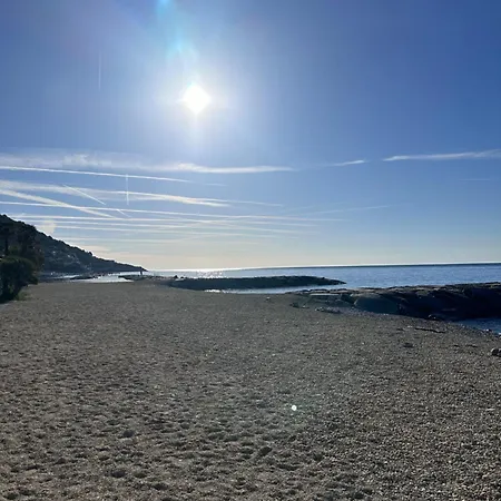 Le Nereidi